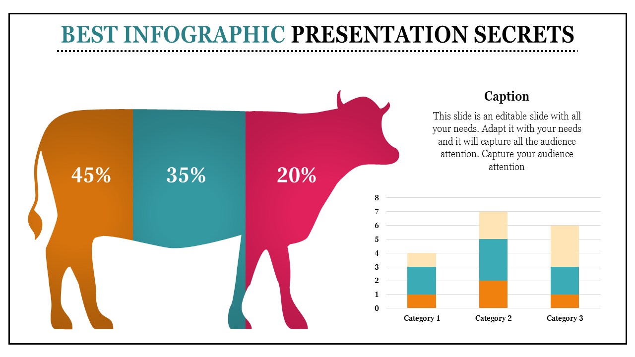 Find the Best Collection of Infographic Presentation